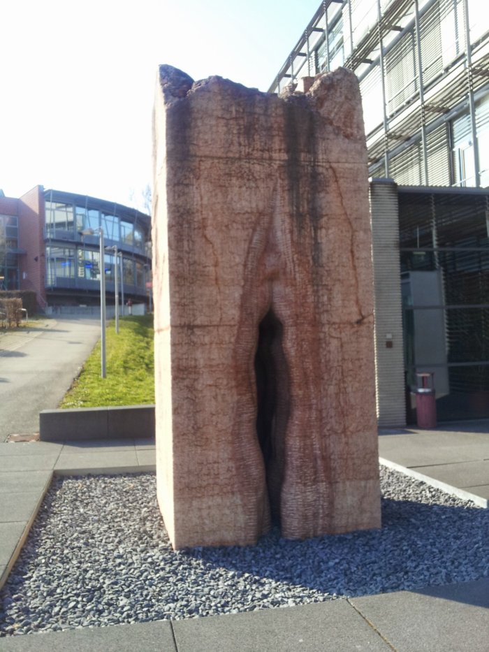 The symbol of rebirth- representation of the vagina.