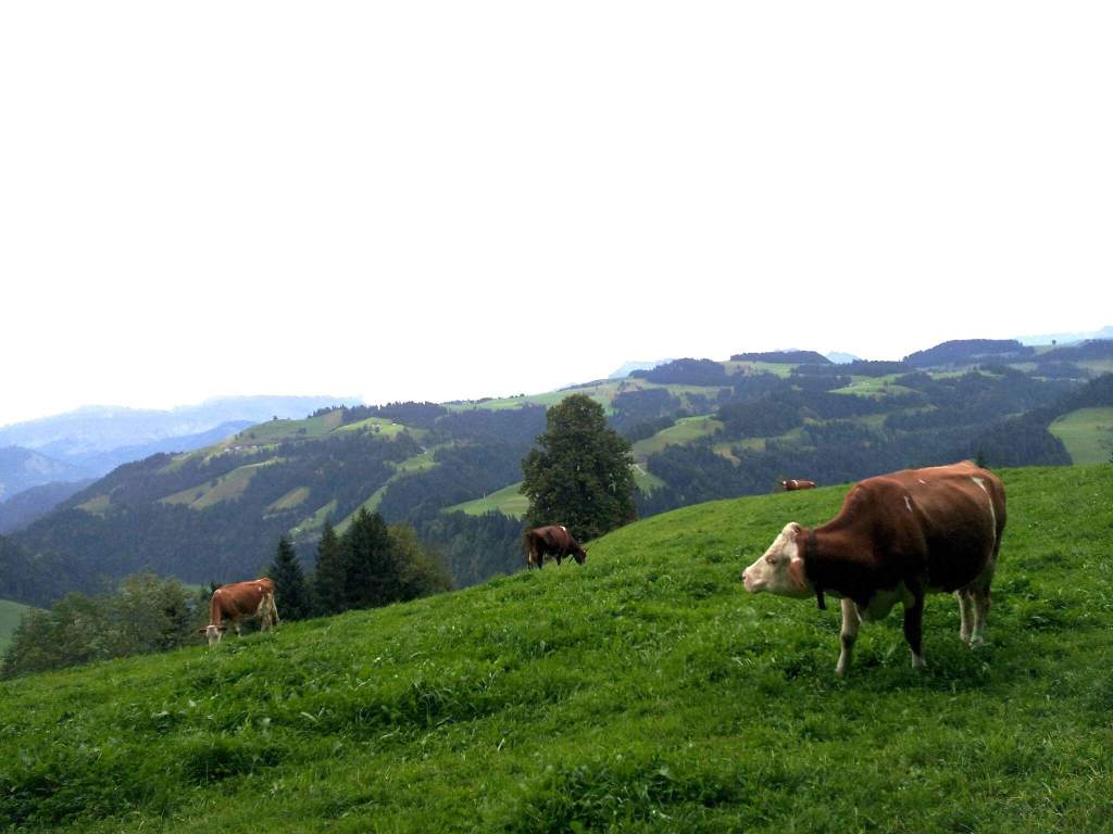Hills and scenic beauty in Emmental,Switzerland