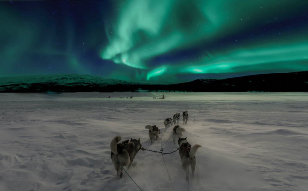 Dogsledding and Northern Lights in Sweden