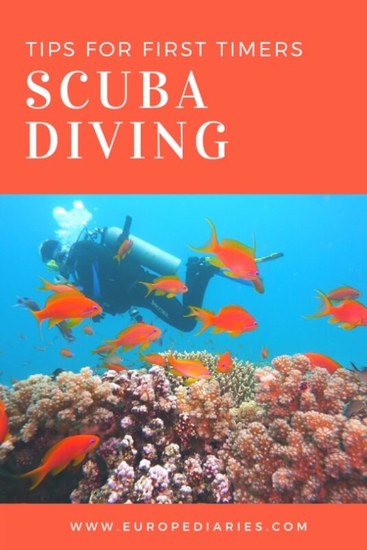Tips for Scuba Diving and Snorkelling for the first time- europediaries.com Also, first Scuba diving experience in Spain. // #Spain #ScubaDiving #Watersports #Barcelona #Costa Brava #Catalunya