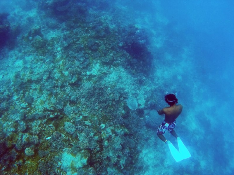Scuba diving tips for beginners