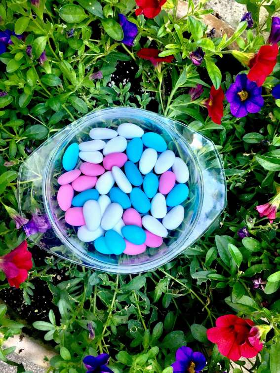 Traditional food in Venice- confetti are sugar coated almonds given out on different occasions.