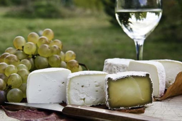 Wine,cheese and food in France