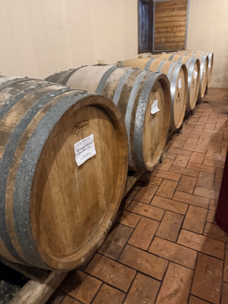 Oak barrels aging Lugana Riserva 1912 in the Fraccaroli cantina