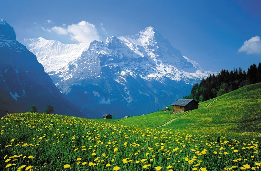 Summer in switzerland Grindelwald