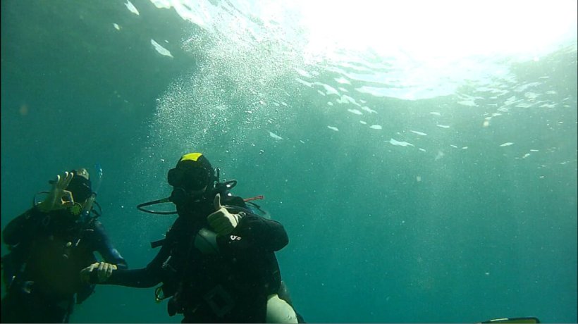 How to work and travel as a diving instructor