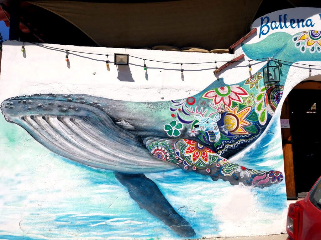 Whale art in Mexico- mexico travel experience- Travellers tales